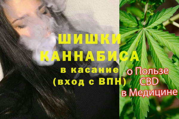 spice Армянск