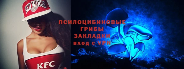 тгк Арсеньев