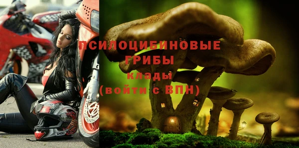ALPHA PVP Протвино